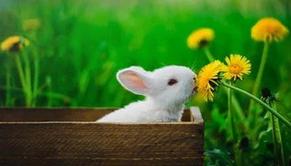 女子交10万相亲被匹配只交了1000元的男嘉宾：简直就是欺诈